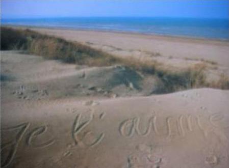 moi je t'aime boucoup mes toi....................................................?